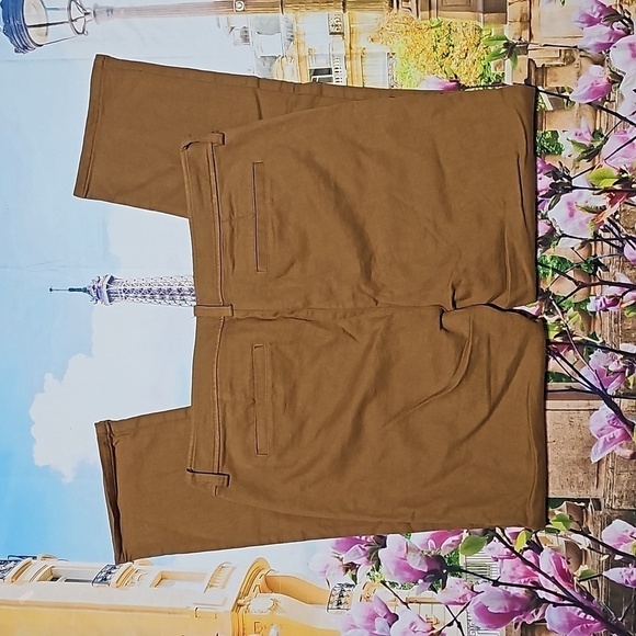 Eileen Fisher Burnt‎ Orange Organic Cotton Chino Pants Size 8 - Picture 5 of 5